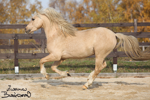 Twyford Epoch