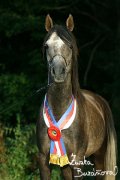 Hebec Nadzih